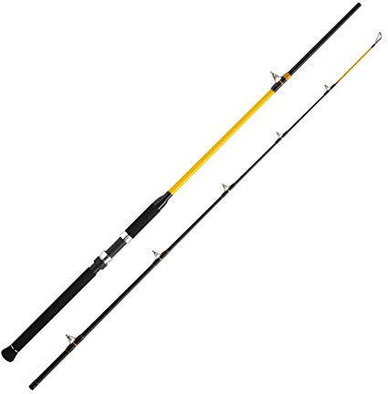 WFT Never Crack Catfish Boat 250-1000g 2,70m