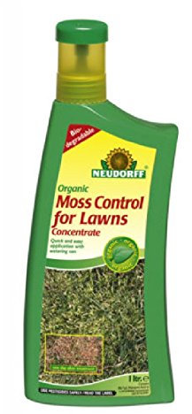 Organic Moss Control for Lawns
