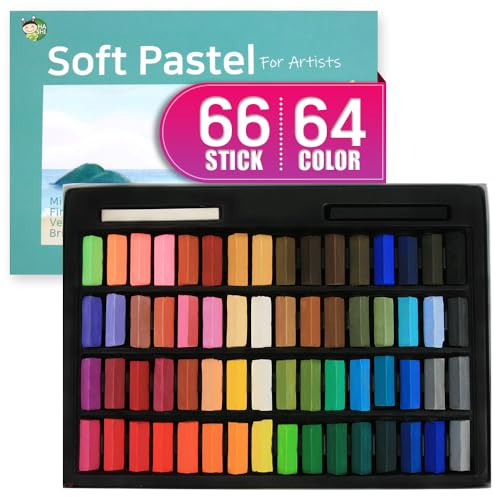 HASHI Non Toxic Soft Pastel Set per professionisti - Gessetti quadrati Brillanti colori assortiti (64 colori)