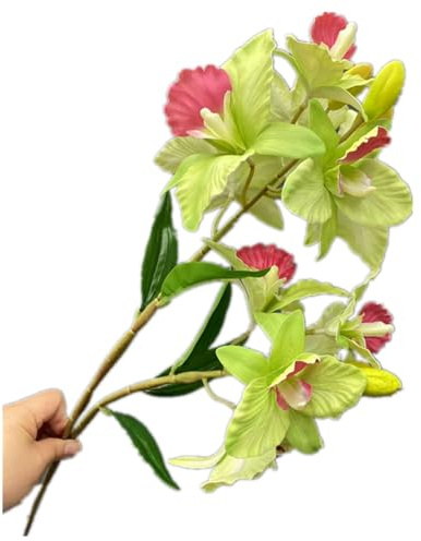 Artificial Large Cattleya Hybrida Flower Branch Two Forks 11 Heads Real Touch Tropic Phalaenopsis Orchid Plant for Wedding Party Floral Decoration (2pcs green)