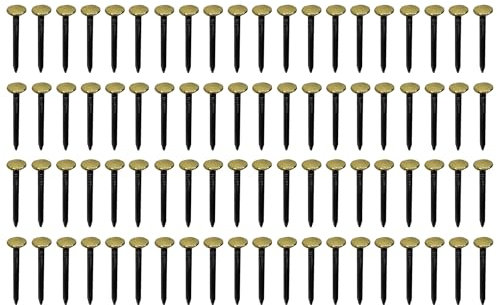 cyclingcolors 100x chiodi chiodini in acciaio con testa larga dorata in ottone fissaggio fotografie quadri ai muri decorativo, 2x20mm