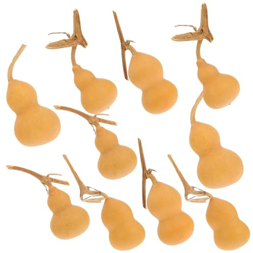 MOBUTOFU 10 Pezzi Zucche Ornamentali Naturali 4-6 Cm, Artigianato da Tavolo Leggero e Decorazione per Casa, Ufficio e Negozio, Ornamenti a Forma di Zucca Simbolo di Buon Stili multipli