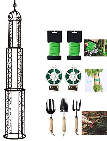 Arche Obélisque de Jardin Treillis,Support Tuteur Colonne métal Arceau à rosier Pieu Tuteurs Plantes,pour Plantes Grimpantes,Fleurs,D'arbustes,Ornement de Cour,Décoration Patio,with Garden Twist Tie