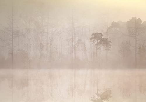 decomonkey Premium Fototapete Wald Vintage 350x256 cm Design Tapete XXL Fototapeten Vlies Tapeten Vliestapete Wandtapete moderne Wand Schlafzimmer Wohnzimmer Landschaft See Baum Nebel Beige Grau