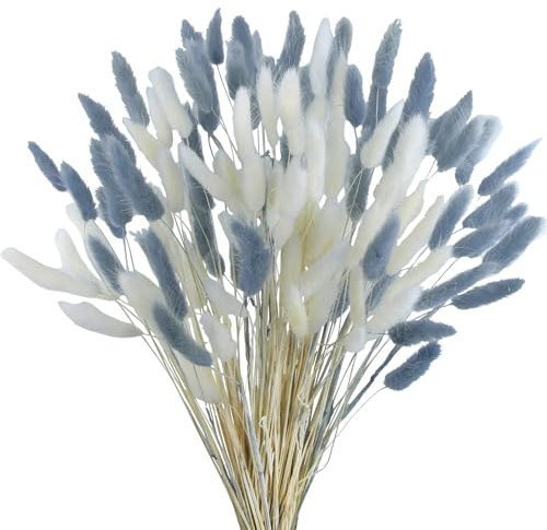 Barlone 120 Stück Pampasgras Klein, Hasenschwanzgras Getrocknet Pampasgras Deko, Pampas Gras Trockenblumen Weiß und Graublau, Trockenblumen Klein Pampas Gras für Deko Wohnzimmer Hochzeit Tischdeko