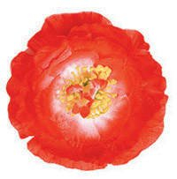 PARTY DISCOUNT Hawaii-Blume Hibiskus mit Clip, rot