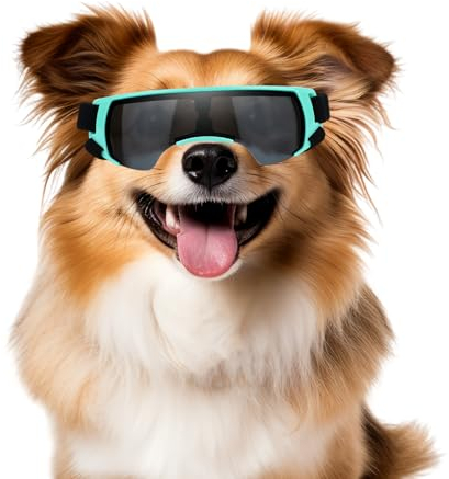 NAMSAN Sonnenbrille für Kleine Hunde Schutzbrille für Kleine Hunde Winddichte UV-Schutz Wasserdicht Hundebrille Welpen mit Einstellbar Gummiband-Blau