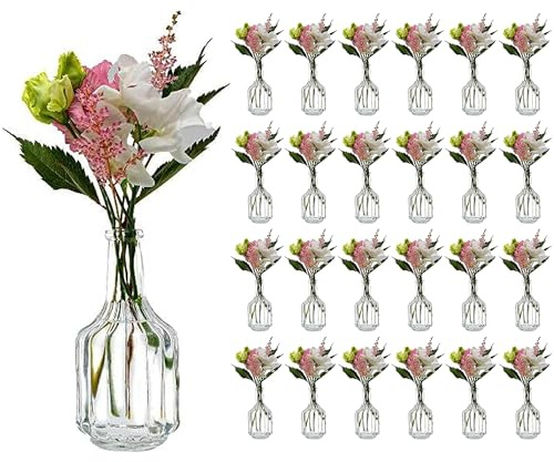casavetro 24 x små vaser glasflaskor HALSI glasflaskor lanthus vintage vas flaska glas klar mini dekorativa flaskor vaser (24 x hals)