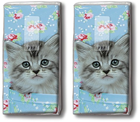 Taschentücher bedruckt - Papiertaschentücher - Motivtaschentücher - 20 Stück - 4-lagig - Haut- und umweltverträglich - Mehrfarbig - Reclosable Bag - Paper + Design