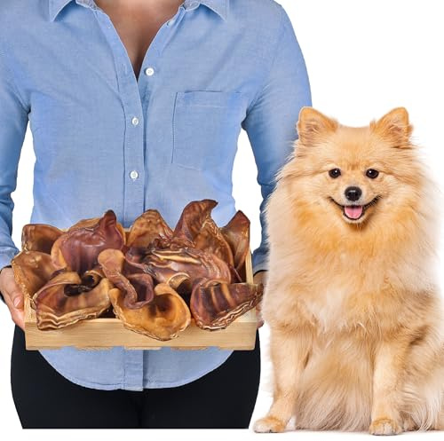 Orecchie di maiale per cani 20 pezzi taglia S (500g) | Snack naturali di orecchie di maiale intere essiccate | 100% naturali | Masticazione duratura | Senza cereali | Ideali per cani piccoli e grandi