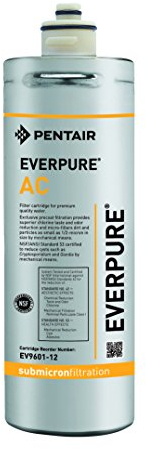 Everpure Filtro Acqua Potabile a Carboni Attivi EV960112 - 1 Unità