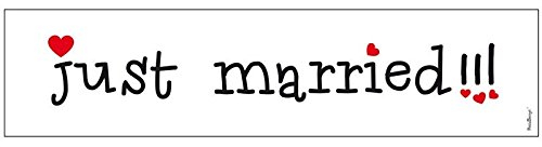 2 x Auto SCHILDE KFZ Kennzeichen Autokennzeichen Auto Schmuck Braut Paar Deko Dekoration Autoschmuck Hochzeit Car Auto Wedding Deko PKW (Just Married)