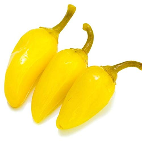 Yellow Jalapeno Pepper Seeds (80 Seed Pack)