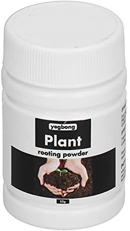 Hztyyier 50g Poudre D'enracinement Hormone Racinaire Engrais Nourriture Végétale pour Les Racines des Plantes D'intérieur Greffes Accélère Le Développement des Racines Other Gardening Supplies