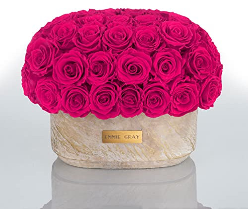 Solid Infinity Collection Golden Sand oval – Drömlika Infinity rosor, 1–3 år hållbara rosor, betongvas med äkta, konserverade rosor, ädla premiumrosor – storlek M (Hot Pink)