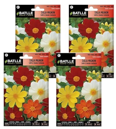 Semillas de dalia mignon enana de Semillas Batlle PACK (4)