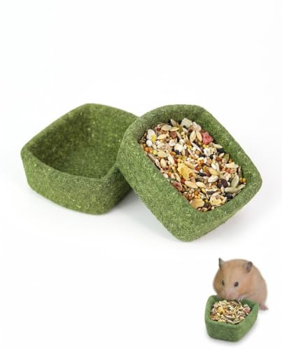 BTACGWP Gamelle Hamster en Céramique Naturelle, Lot de 2 Bols Alimentation Stables, Bol Nourriture Hamster Anti-dérapant pour Aménagement Paysager