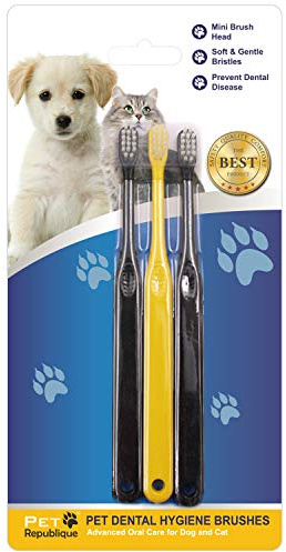 Pet Republique Toothbrush for Small Dogs & Cats - Cat Toothbrush, Sm Dog Toothbrush - Designed for Cat, Kitten, Puppy, and Sm Dog Like Chihuahuas, Yorkshire, and Poodle (6 Count)