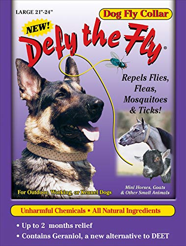 Defy The Fly Dog Collar 21 to 24 Size Large