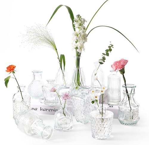 Votoko 12 Piezas Juego de Mini Jarrones de Cristal, Mini Jarrones Floreros Decorativos Modernos Centro de Mesa de Boda, Jarrones Pequeños de Cristal, Jarrones Decorativos Vintagepara Hogar y Boda