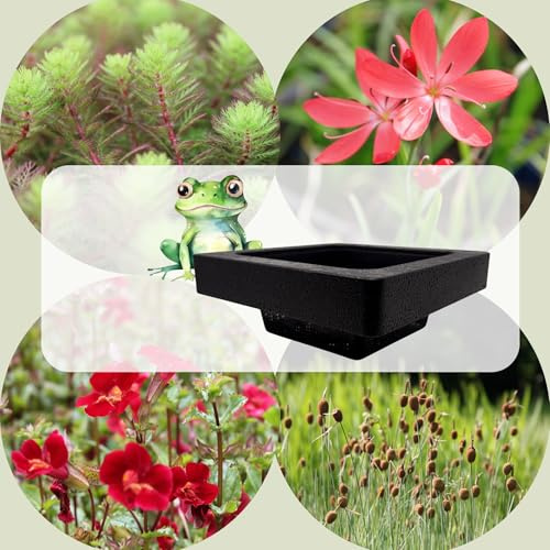 WASSERPFLANZEN WOLFF - FROG-ISLAND rot - SCHWIMMINSEL inklusive Pflanzen - REIHERSCHUTZ - 4er-Mix mit Pflanzinsel - QUALITÄTSSTAUDEN im Pflanzkorb - Frosch-Insel für Gartenteich