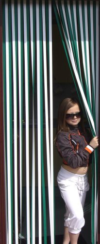 Slat Type Door Curtain, Strip Blind - GREEN & WHITE