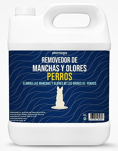 Plantawa Removedor de Olores y Manchas de Perro 4L | Limpiador Enzimático Orina y Heces | Neutraliza Vómito y Malos Olores | Antiorines Seguro para Alfombras, Muebles y Familias