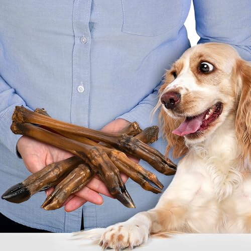Deer Legs Dog Chews 5 Pieces | natural dried dog snacks without fur | hypoallergenic & high in protein | dental care | healthy chewing fun with no additives for small & large dogs