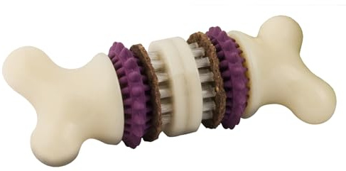 PetSafe Busy Buddy Bristle Bone Dog Chew Toy - Treat Holding Toothbrush Toy for Hard Chewers - Helps Keep Your Dog's Teeth Clean - Durable, Interactive - Purple, Medium