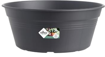 Elho Green Basics Coupe 27 - Pot De Fleurs pour Extérieur - Ø 27.0 x H 11.4 cm - Noir/Living Noir