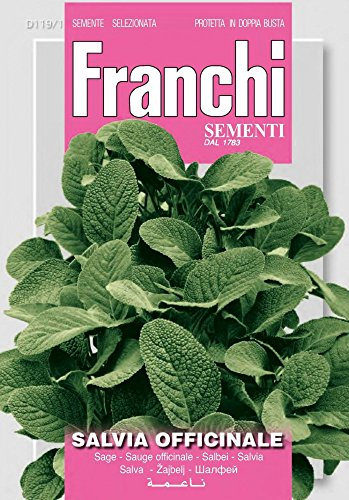 SEMI DI SALVIA OFFICINALE FRANCHI SEMENTI
