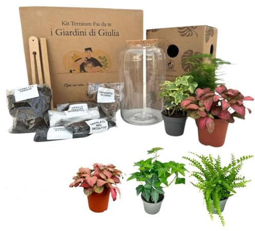 I GIARDINI DI GIULIA - Kit de terrario de bricolaje | Ecosistema autoestenible con 3 plantas reales | helecho, hiedra, fittonia | Terrario de cristal | Ideal para casa y oficina, transparente