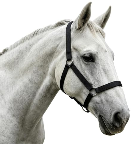 Cabestro Ajustable Para Caballos Atrezzo Ajustable Para Pastoreo Y