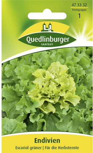 Endivie, Escariol grüner