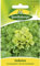 Endivie, Escariol grüner