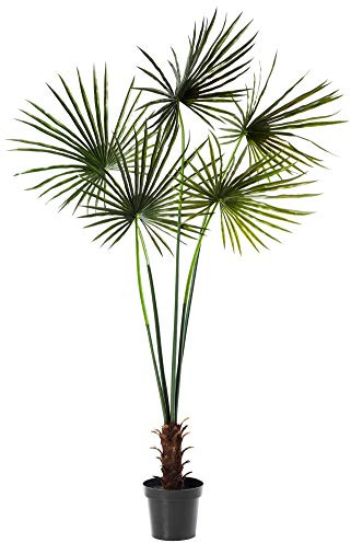 Nearly Natural 7ft. Fan Palm Tree UV Resistant (Indoor/Outdoor)