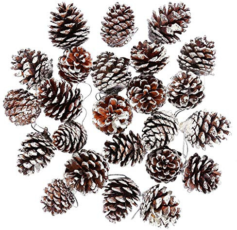 Cooraby 24 Pieces Christmas Pine Cones Ornament Natural Pinecones with String Pendant Crafts for Gift Tag Christmas Tree Party Hanging Decoration, Assorted Sizes from 1.37 to 2.36 Inch (Snow)