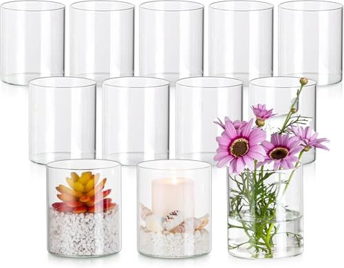 ZOFUN 12 vaser 10 cm glas, 10 x 8,5 cm glasvas, cylinder runda, blommor, rosor, bordsdekoration