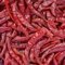 PURE RED WHOLE DRIED CHILLIES | WHOLE RED CHILLI DRY CHILLY | FREE UK P&P (500g)