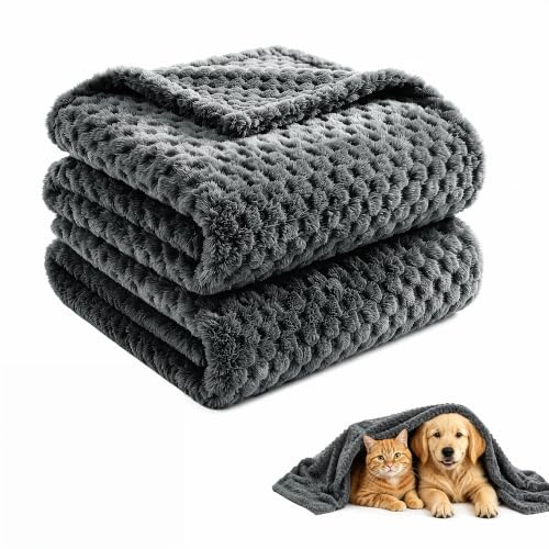 ASIJIA 2 Pack Soft Warm Pet Blankets, 70 x 100 CM Washable Fuzzy Dog Cat Blanket, Thick Cozy Flannel Throw Cover for Small Medium Dogs Cats, Couch Bed Car Travel Use, Dark Gray