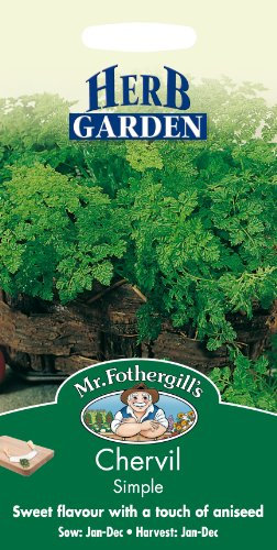 Mr Fothergill's 10094 Herb Seeds, Chervil Simple