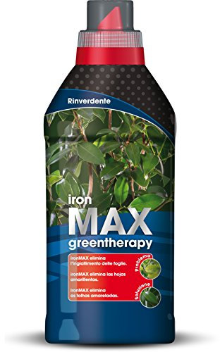 NutriONE Concime Rinverdente IronMAX, concime liquido rinverdente che cura l'ingiallimento delle foglie, 610 g (500 Ml)