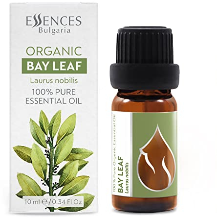 Essences Bulgaria Olio Essenziale di Alloro Biologico 10 ml | Laurus nobilis | 100% Puro e Naturale | Non Diluito | Grado Terapeutico | Fattoria a Conduzione Familiare | Distillato a Vapore | Non OGM