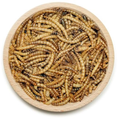 Getrocknete Mehlwürmer 5kg – Natürliches Proteinreiches Einzelfuttermittel für Wildvögel, Fische, Igel, Nager & Reptilien | Premium Tierfutter, Lange haltbar