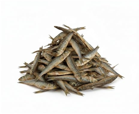 Lenda Chinchiños (600g) - Snacks Naturales para Perro - Chuches para Perro de Boquerón Deshidratado - Ideal como Premio para Cachorros y Adultos - Hecho en España - Apto Dieta Barf