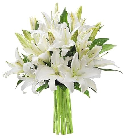KaBloom - Pure Love Bouquet of Fresh White Lilies without vase - Fresh Flowers for Birthday, Valentine's & Mother's Day