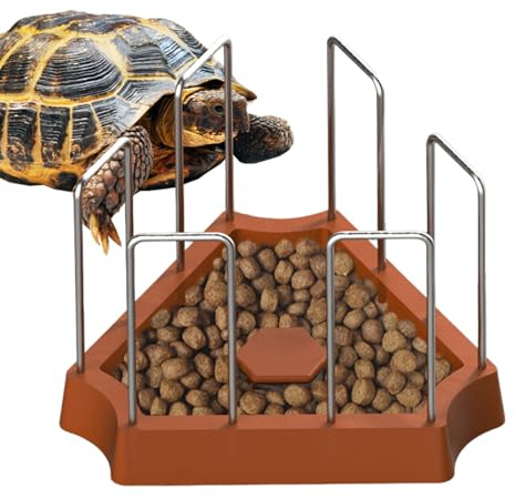 Mangiatoia per Acqua per Tartarughe, Triangolare per rettili con Recinzione Staccabile, Accessorio per Serbatoio del terrario, Ciotola per Acqua per Lucertola, Drago Barbuto, Rana