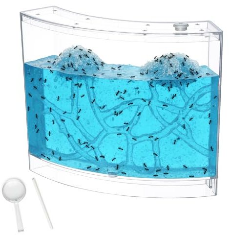 Acellegic Ant Farm Terrarium Kit Giant Ant Farm Large Viewing Area Care for Live Ants Nature Learning DIY Kit Great Gift(Classic Style,Blue)