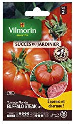 Vilmorin - sachet graines Tomate buffalo Steak HF1 vilmorin