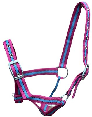 Equipride FOAL HEADCOLLAR HALTER MULTI ADUSTABLE IN 10 AMAZING COLOUR (Pink/Blue)